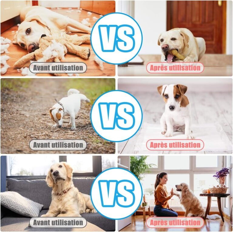 811zA1nAw3L. AC SL1500 shop its everything home