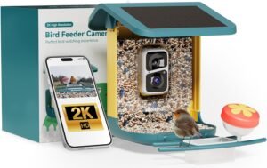 Mangeoire Oiseaux Extérieur Intelligente avec caméra solaire
